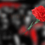 45d72fdcf6bdaf4be7194ad42abce438 no watermark
