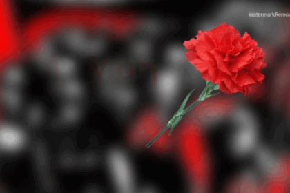 45d72fdcf6bdaf4be7194ad42abce438 no watermark