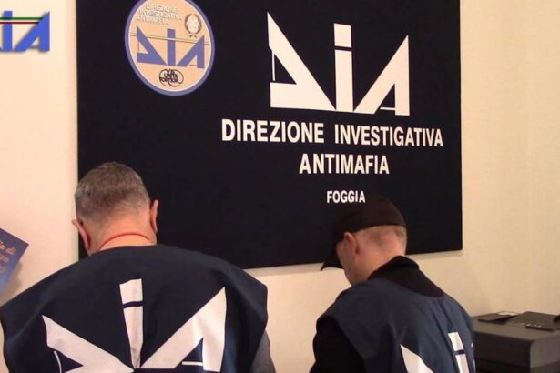 49f1cf64e78a5b72769b860226f89ea5