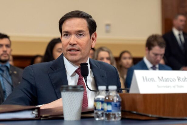 4af42d06188bb10f960fa3b58482afd5 no watermark