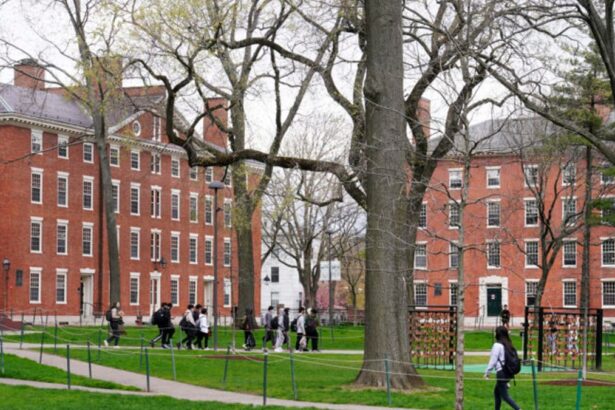 5565f3ead485aee998a3c7e6518f5bae