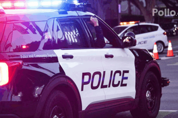 654cee9163d1aa34e20b4c758e77c695 no watermark