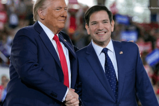 6b8324e445be5246845b9b8ba59bde86 no watermark