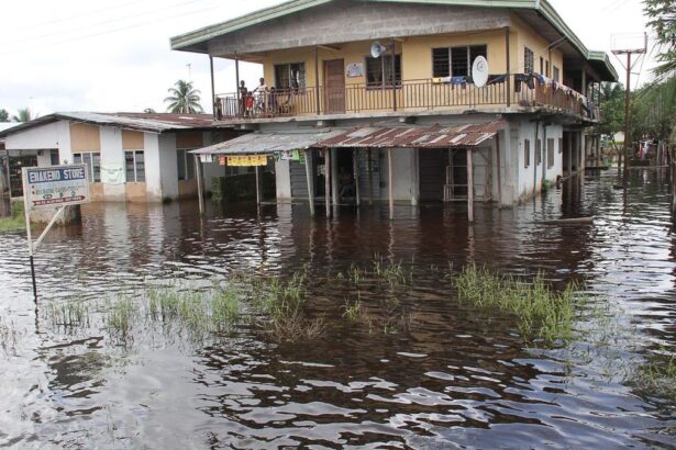 757c1c113711fbd126afd5ed699a1c47