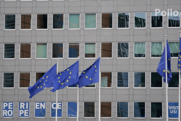 797e2bdaef3fbd0dc06d834c711a7d47 no watermark