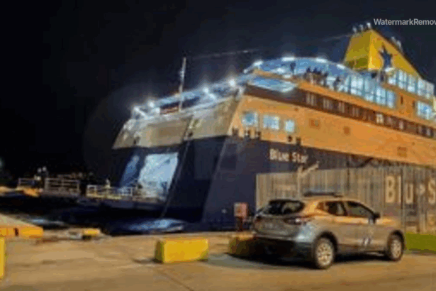 8074704d1d92eed3d8c8d3477097508e no watermark