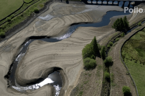 84777e0b39a9161bc253bf2da2b5c6b9 no watermark