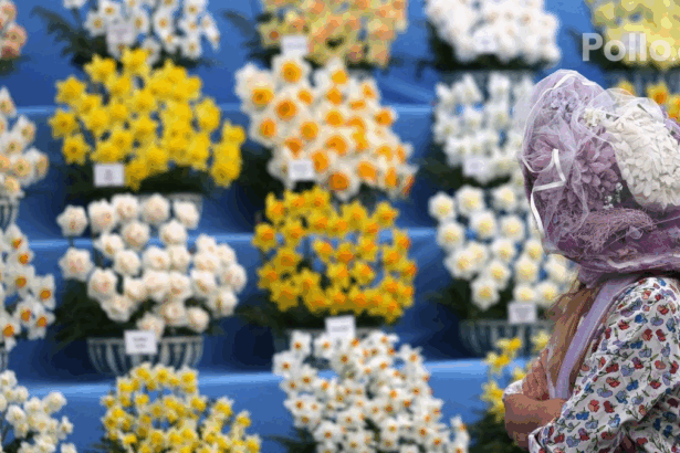 88377c342ba4acdba832d7a5637a9b18 no watermark