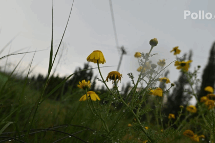 88a5ad8ff3063ed947b6d9a90dfa964d no watermark