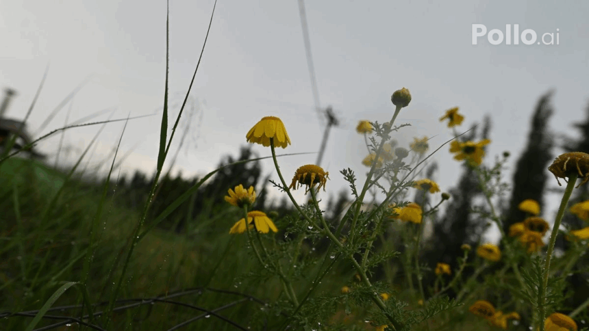 88a5ad8ff3063ed947b6d9a90dfa964d no watermark