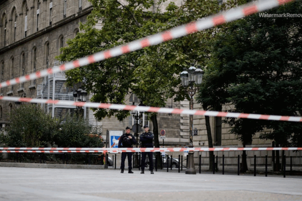 899351b25fc6b8c7d5c66a57d7a511b4 no watermark