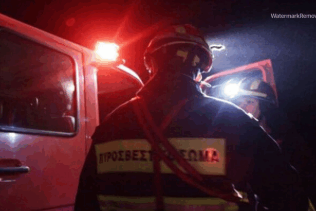 8e733beb80300f21a0bcfb4c1f2d39af no watermark