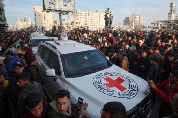 91b94bd75e7fa967838342744dc94a0e