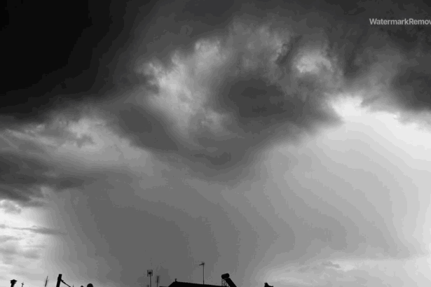 B35c95bf25083ed4e7079122a051d795 no watermark