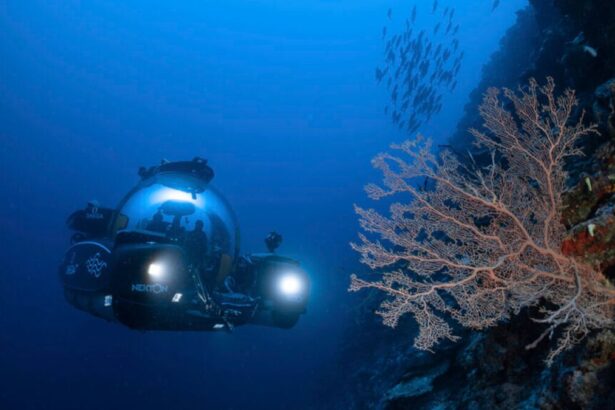 C7c765db0a8461c12ab2f78df3251ffe