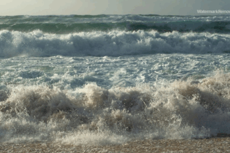 Cd11174e30e23551555772b84390b903 no watermark