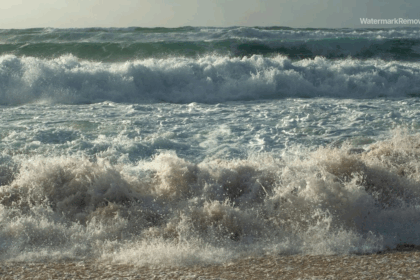Cd11174e30e23551555772b84390b903 no watermark