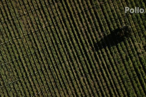 D9568bb28bc572496706f1e3514c331b no watermark