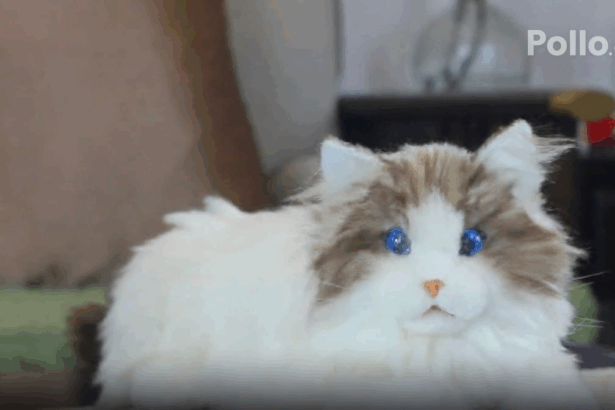 Ef66cb8736dd2ac6339e29d77804ba3d no watermark