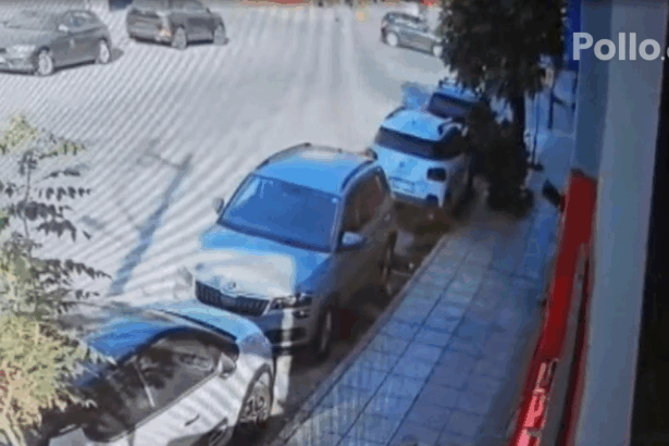 F73eb6819f0cbe30dd33374a4e2e90a4 no watermark