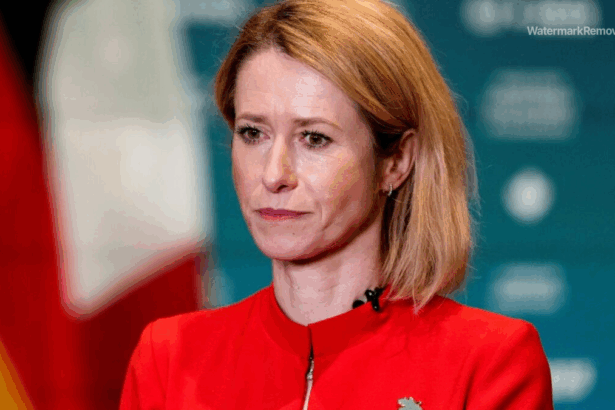 F95e2c0437ea91ead0dde852989ab789 no watermark