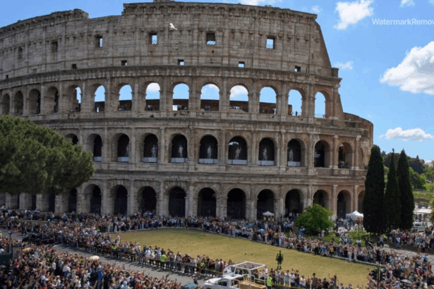 Ff2db3ac835e13f0c5027f86fcb96da0 no watermark