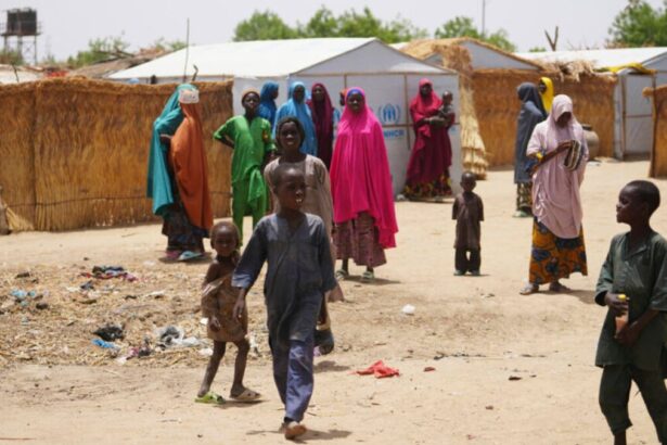 09455dc56e9646b6c497cf0846d86e04