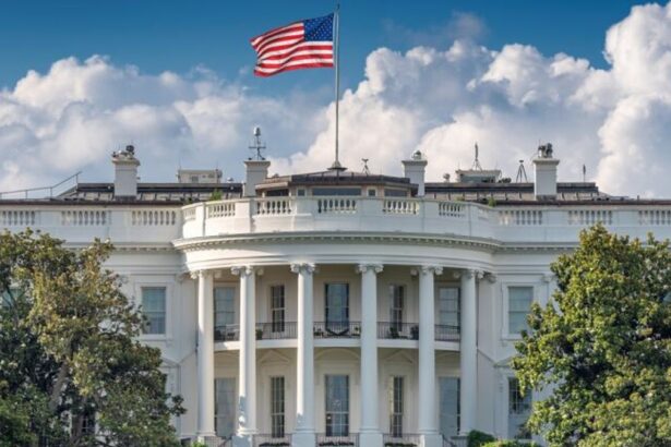 2e0ccfdd1e0790a58396ac03aba35193