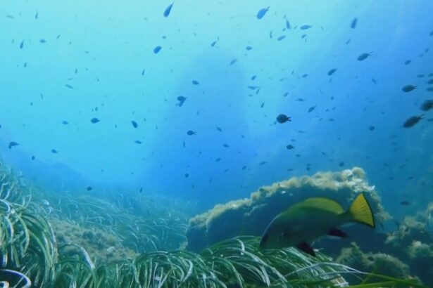 30364423e2815a0b55befa6fb9922984