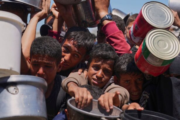 3d08d30a8d6b40e1aeb5d776713f2b66