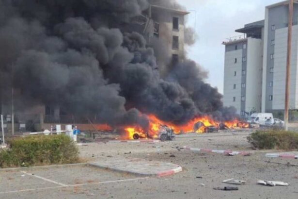 6919b69517002efeccf14461e51587b0