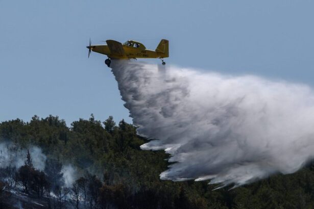 749243fda1bed930ab899342c2868a87