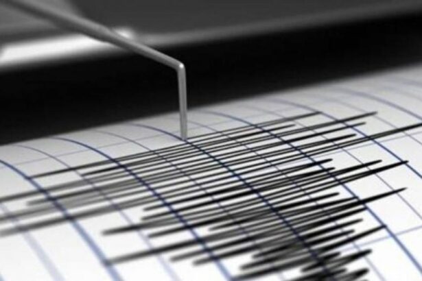 786c911745b585fcd1ad1f137fab3ca7