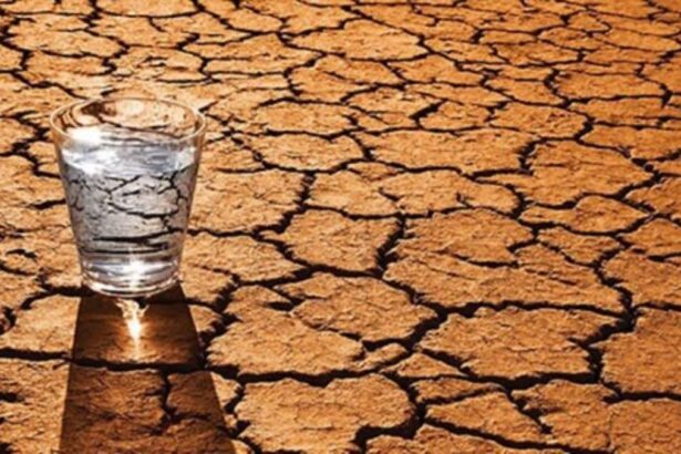 84f8807ab6d92a3ed8e008c402c29107