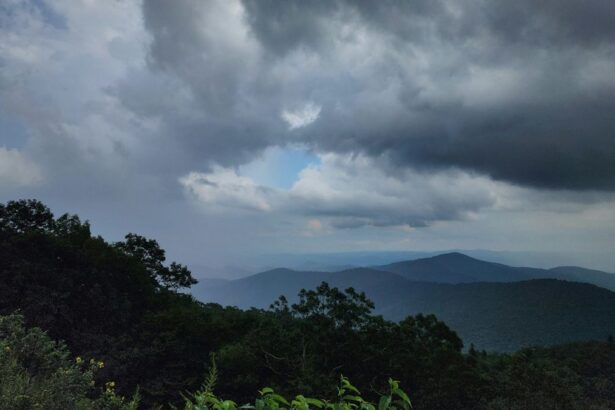 8cef832d0f707d28b4437721d076a4b5