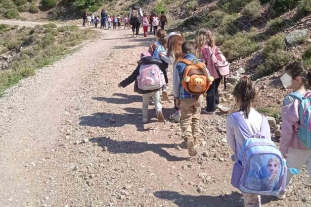 97a7d6cce9b2b3d3abbe44a2c21df387