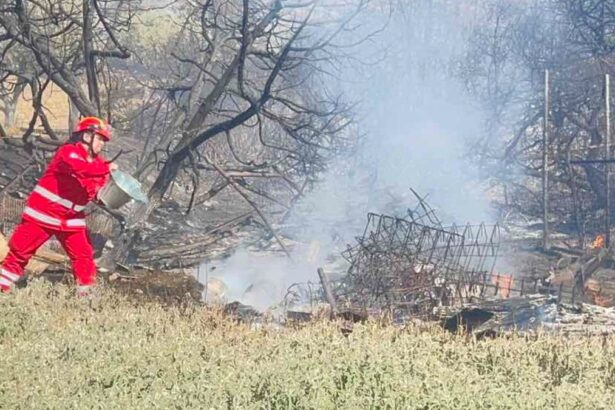 9b17bc965c05884d2d663aa29fb8261d