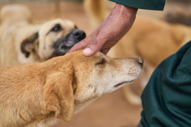 A14c70dbf67cf2364513f6c9fabd20c9