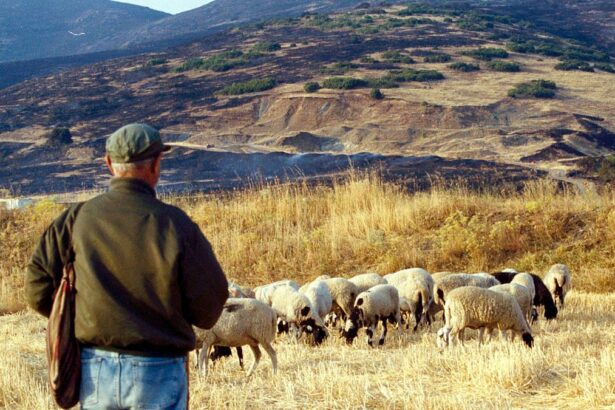 B81184603a1e7dc7b1b6f6048f094a3c