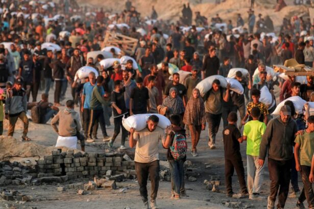 E1c3a2c9e2a42c848c888aa46fe1244b