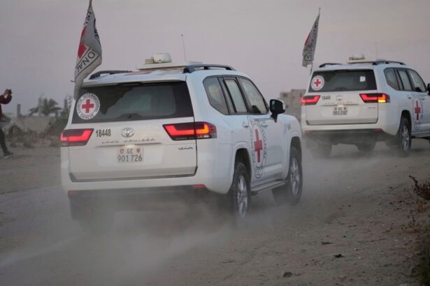 100bbc2cf65de50ca9523e319a219e46