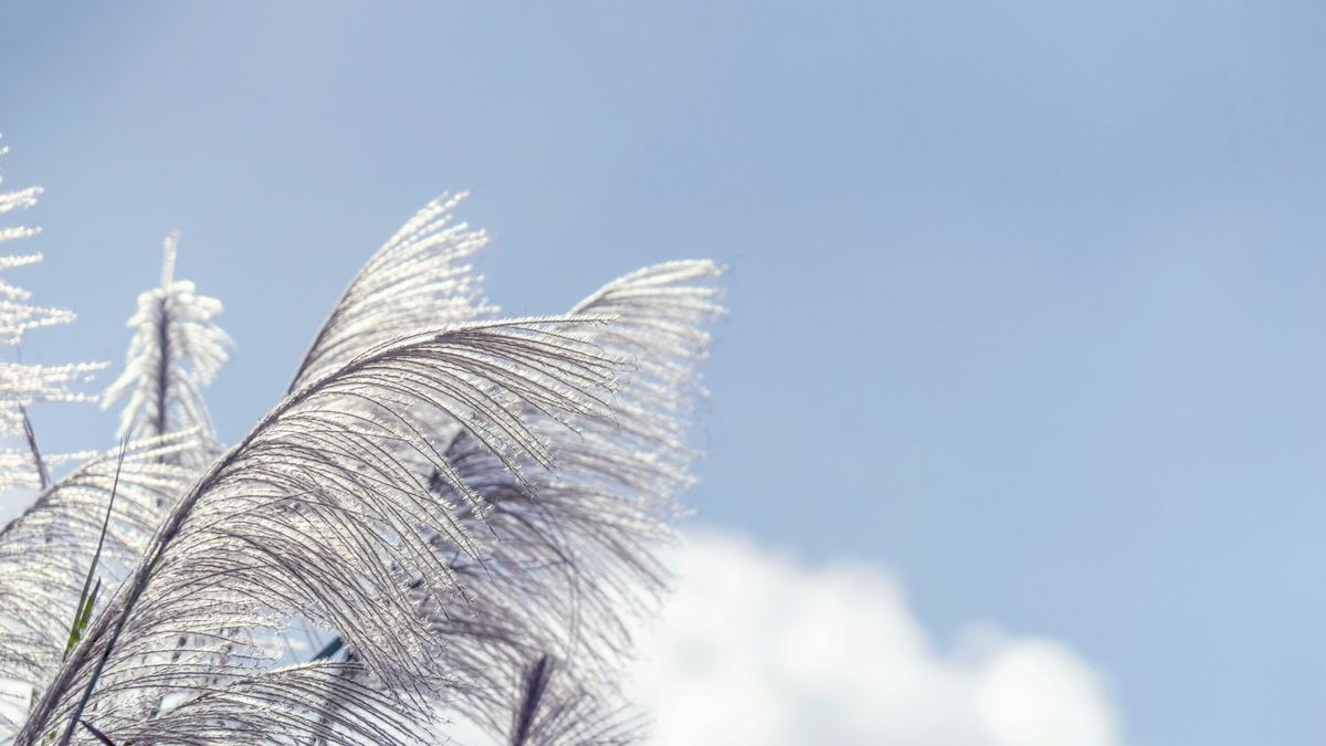 19eb61257ae0e85793d77a3d91078615