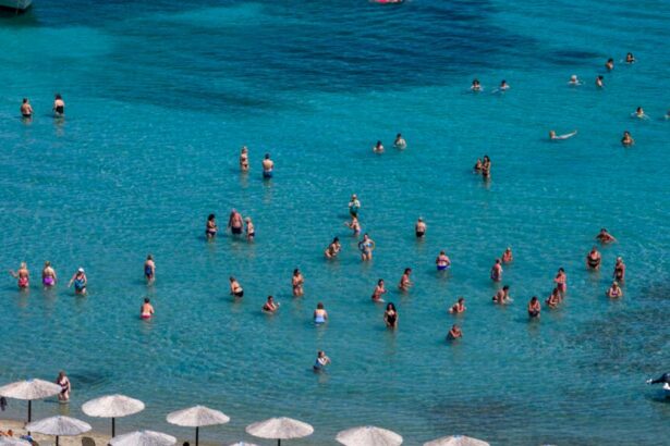 65c0456f742bcaf94ba8fae41d70bdd2