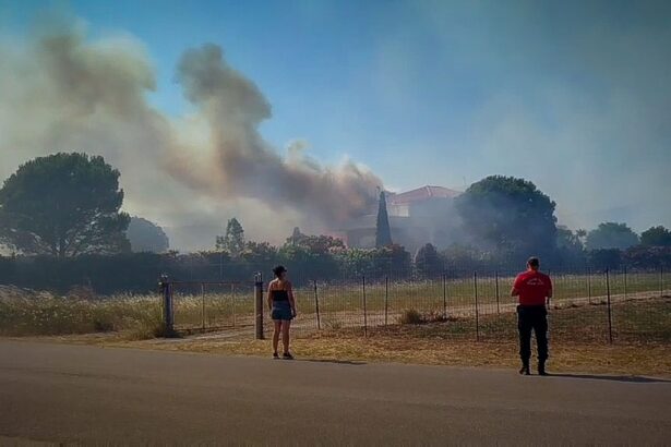 6e7d339f13c2a11995600c5d8fa9aa2b