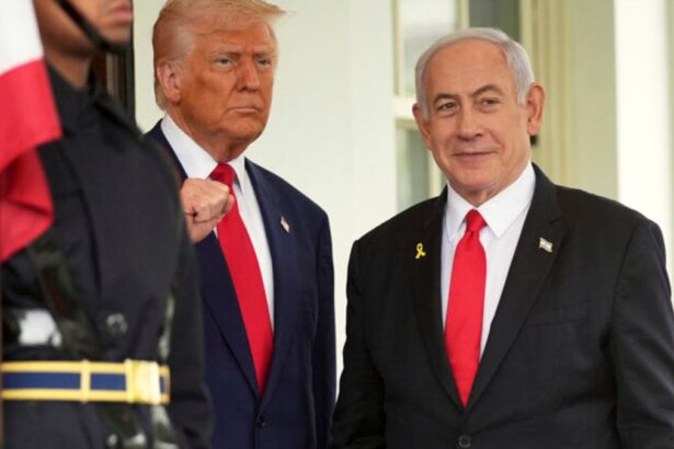 9a8b3b1fa5e0bcde5ab5e1185545a217