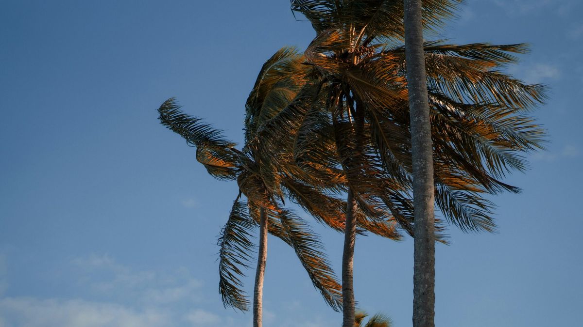 9c94d91baa1655fff5eb3ad03e3c9e79