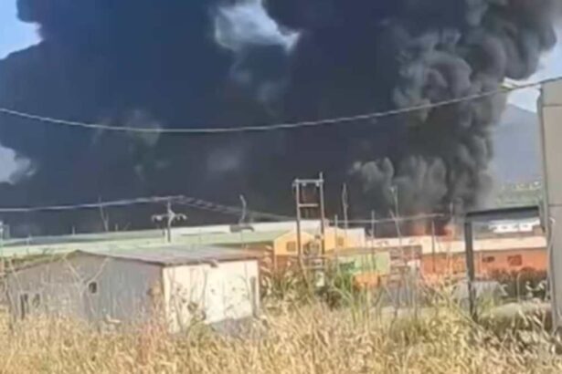 A78f2941e936994afe806323fecb05f5