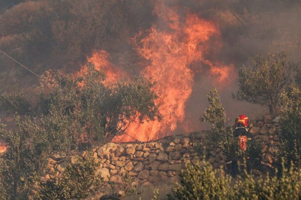 C82e17e1fd74d73eb0f04c7ba1a1458a