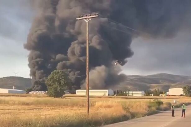 Cdfa9374667d7f2500f7a72bfedf3cbc