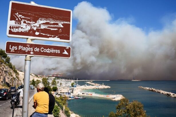 D20d2653abc16cfdab6efefcda3db5f2